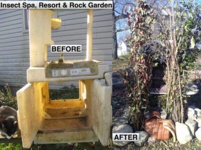 For the Love of Bugs Image